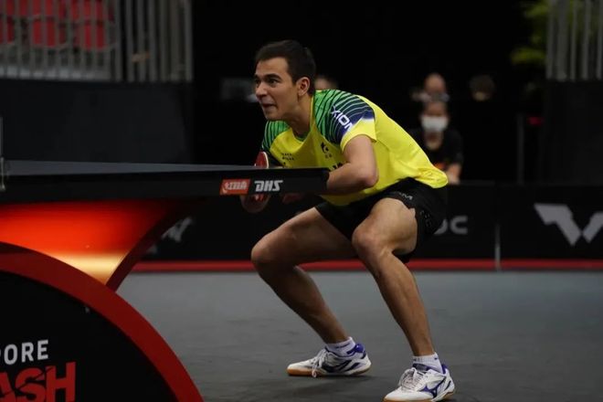 灰熊吉祥物 灰熊吉祥物